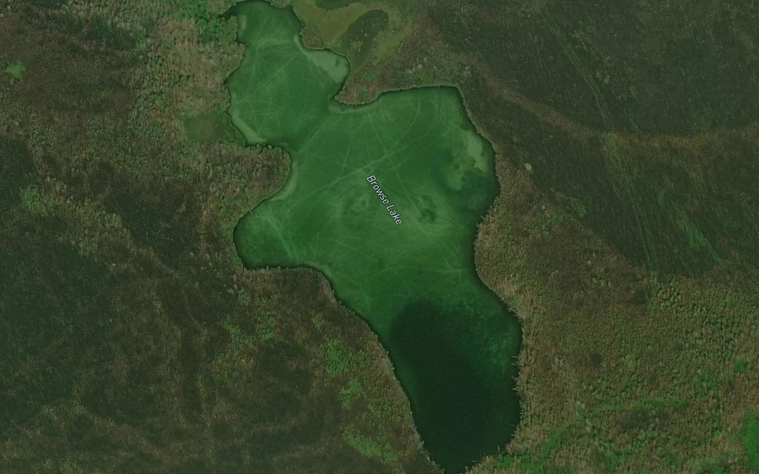 Browse Lake