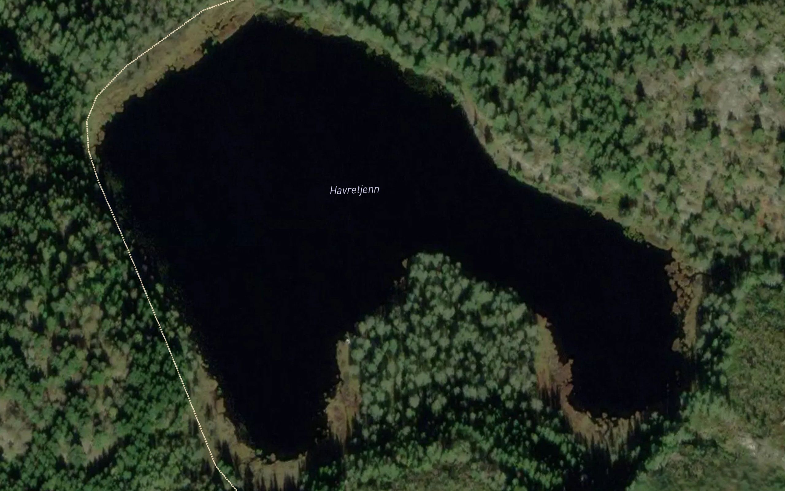 Havretjorn