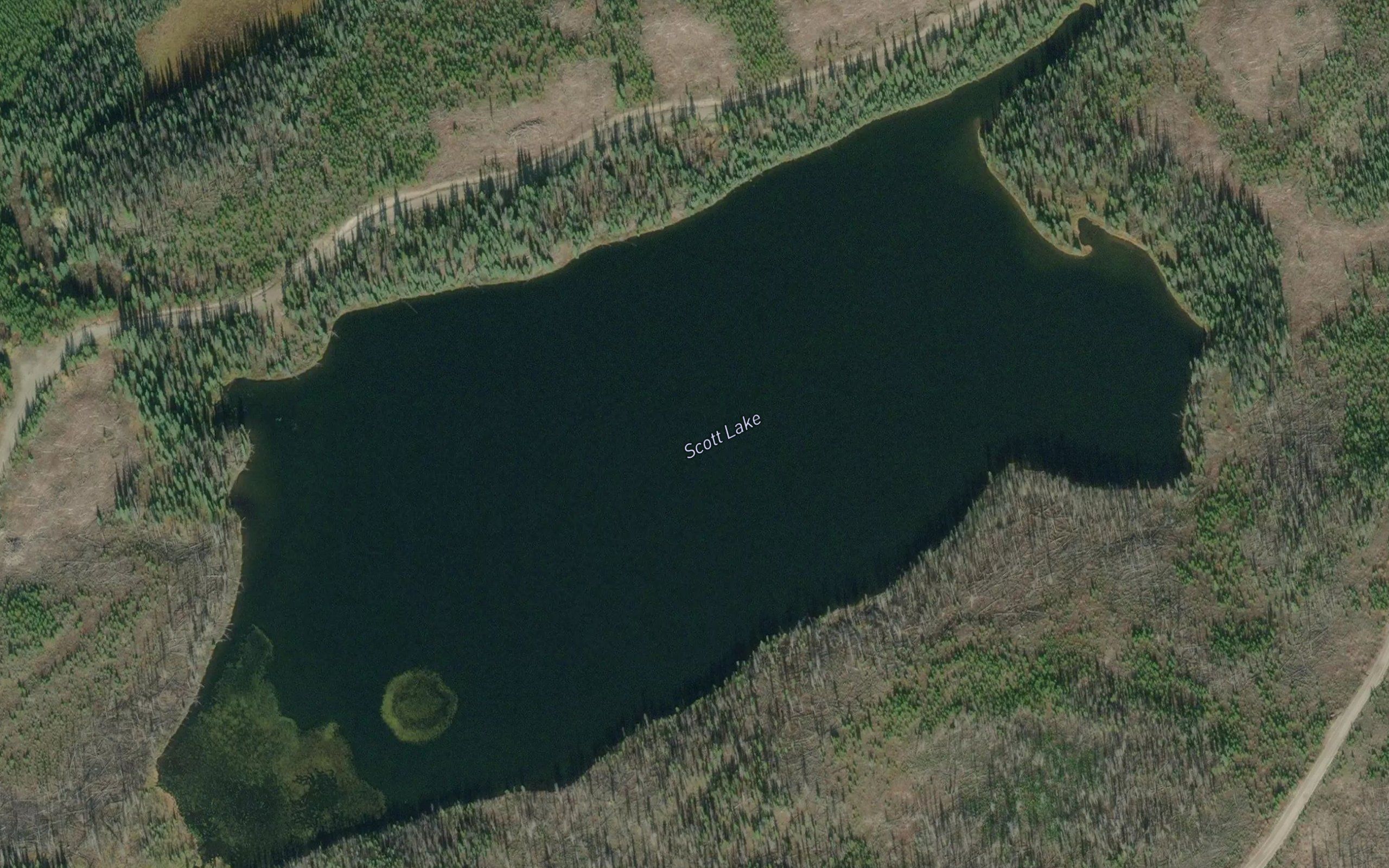 Scott Lake