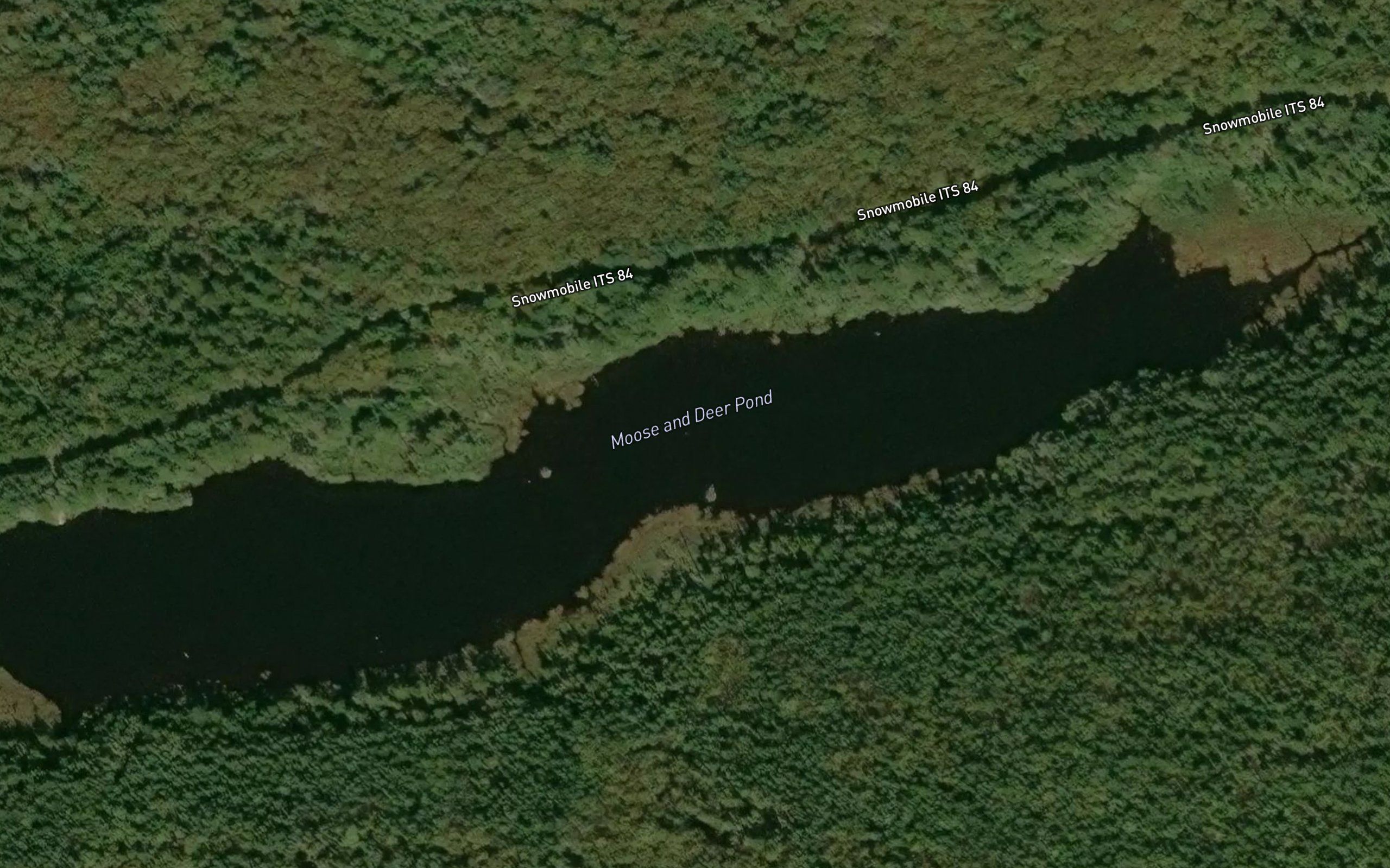 Moose and Deer Pond