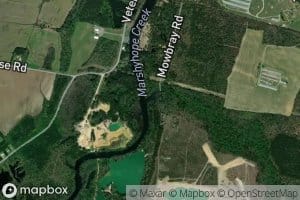 Davis Millpond Branch