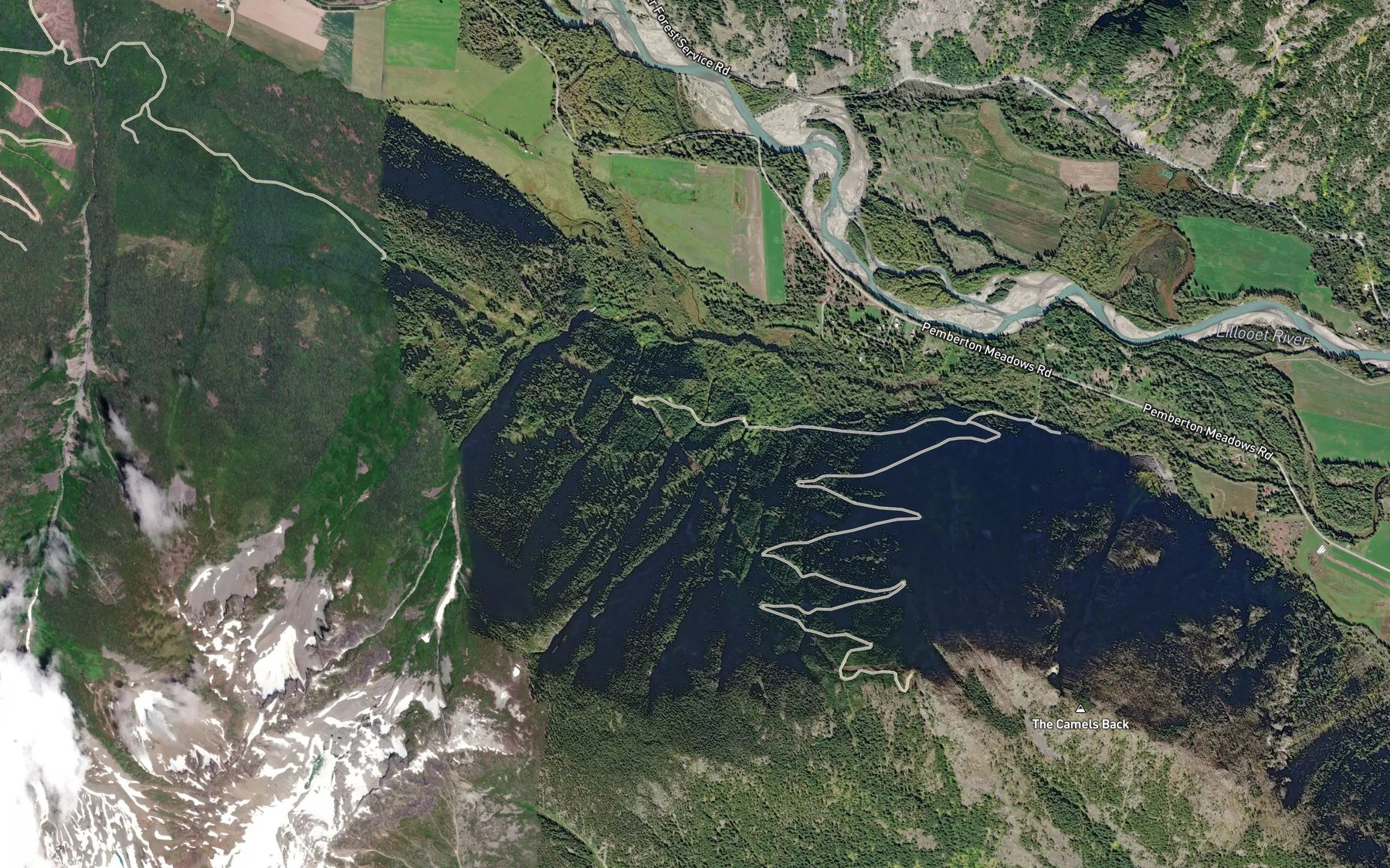Satellite map of the Salmon Slough