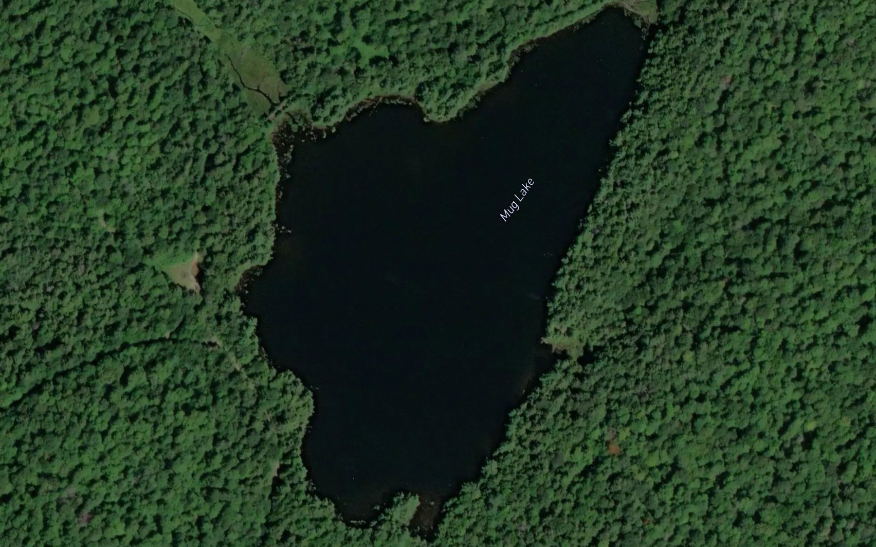 Satellite map of the Mug Lake