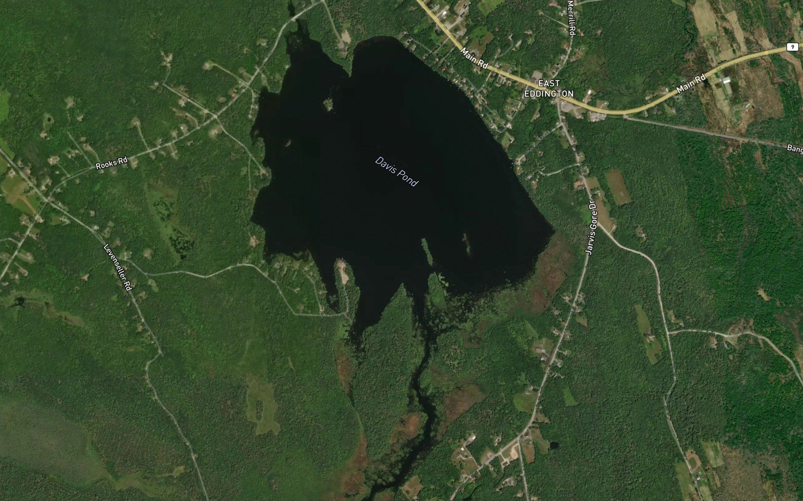 Davis Pond