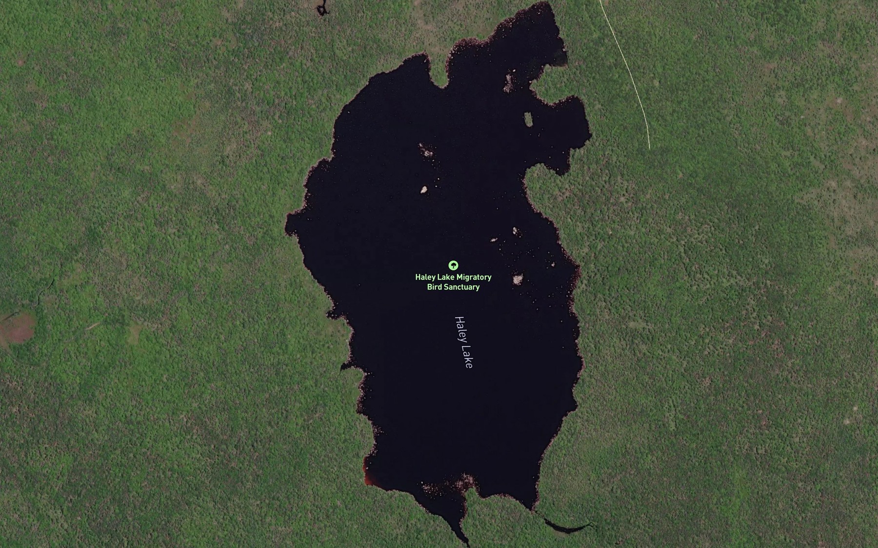 Satellite map of the Haley Lake