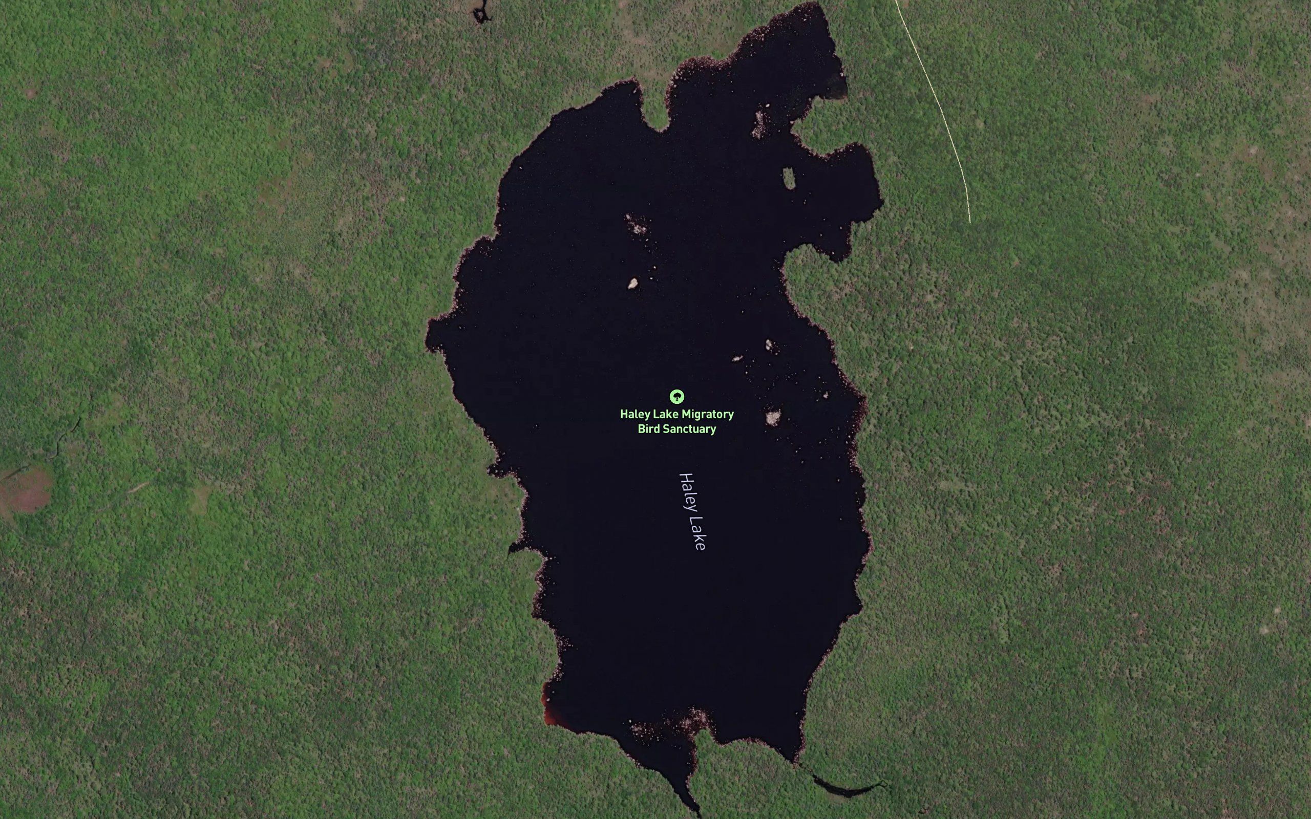 Haley Lake