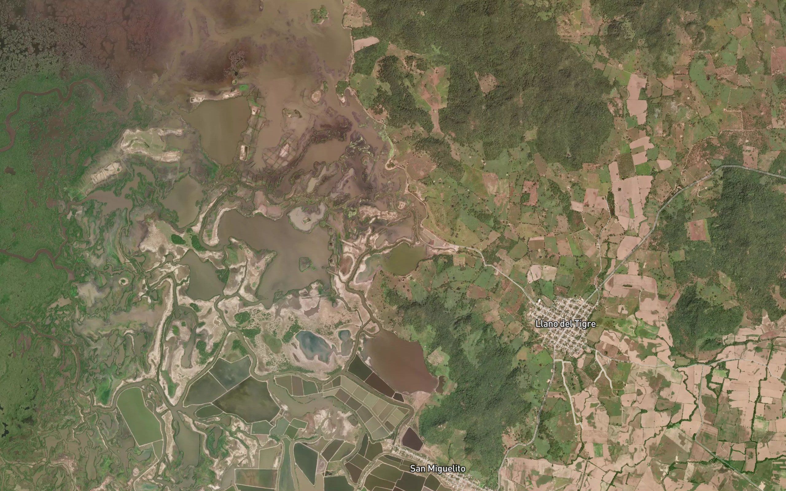 Estero el Culantro