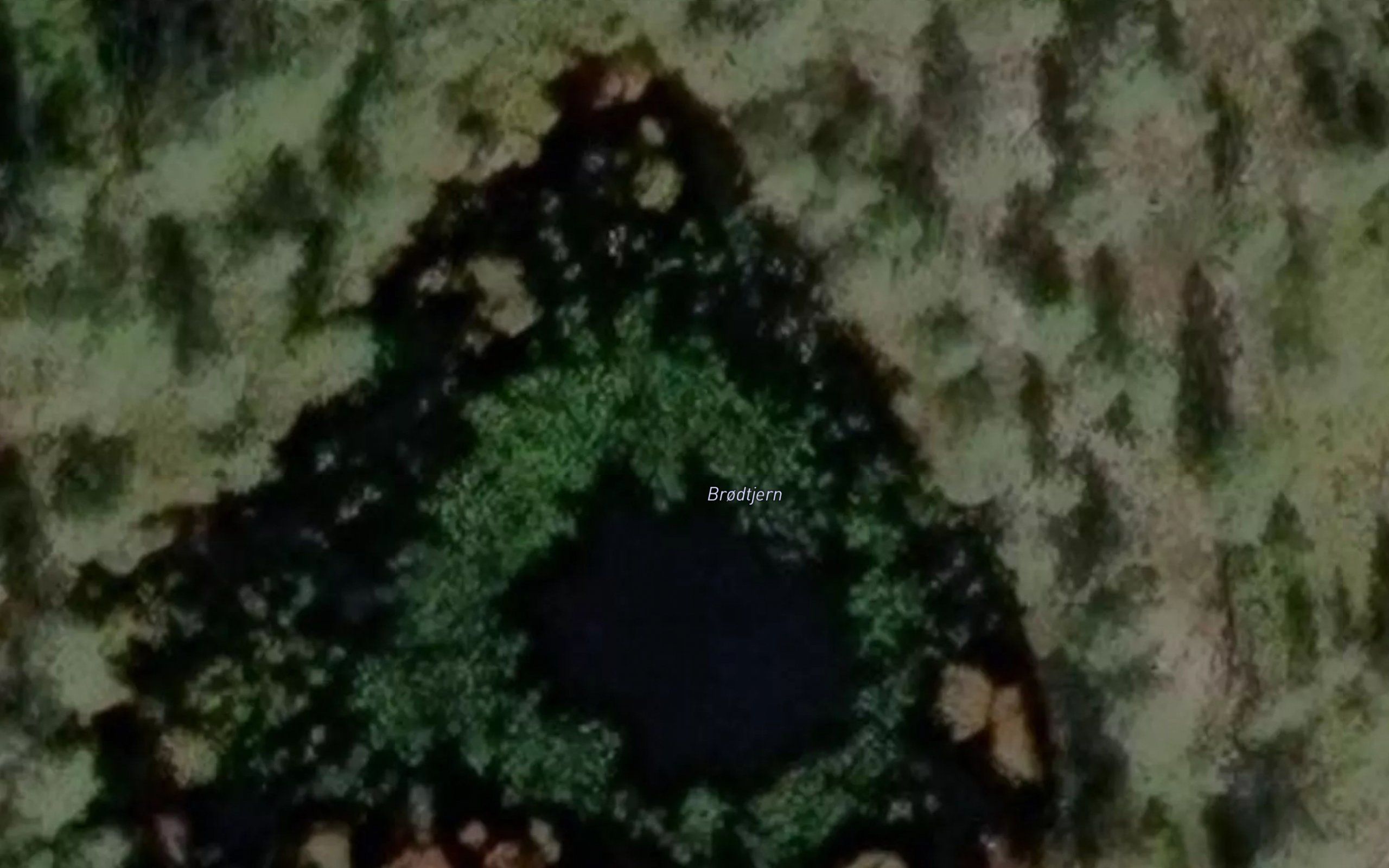 Brodtjern
