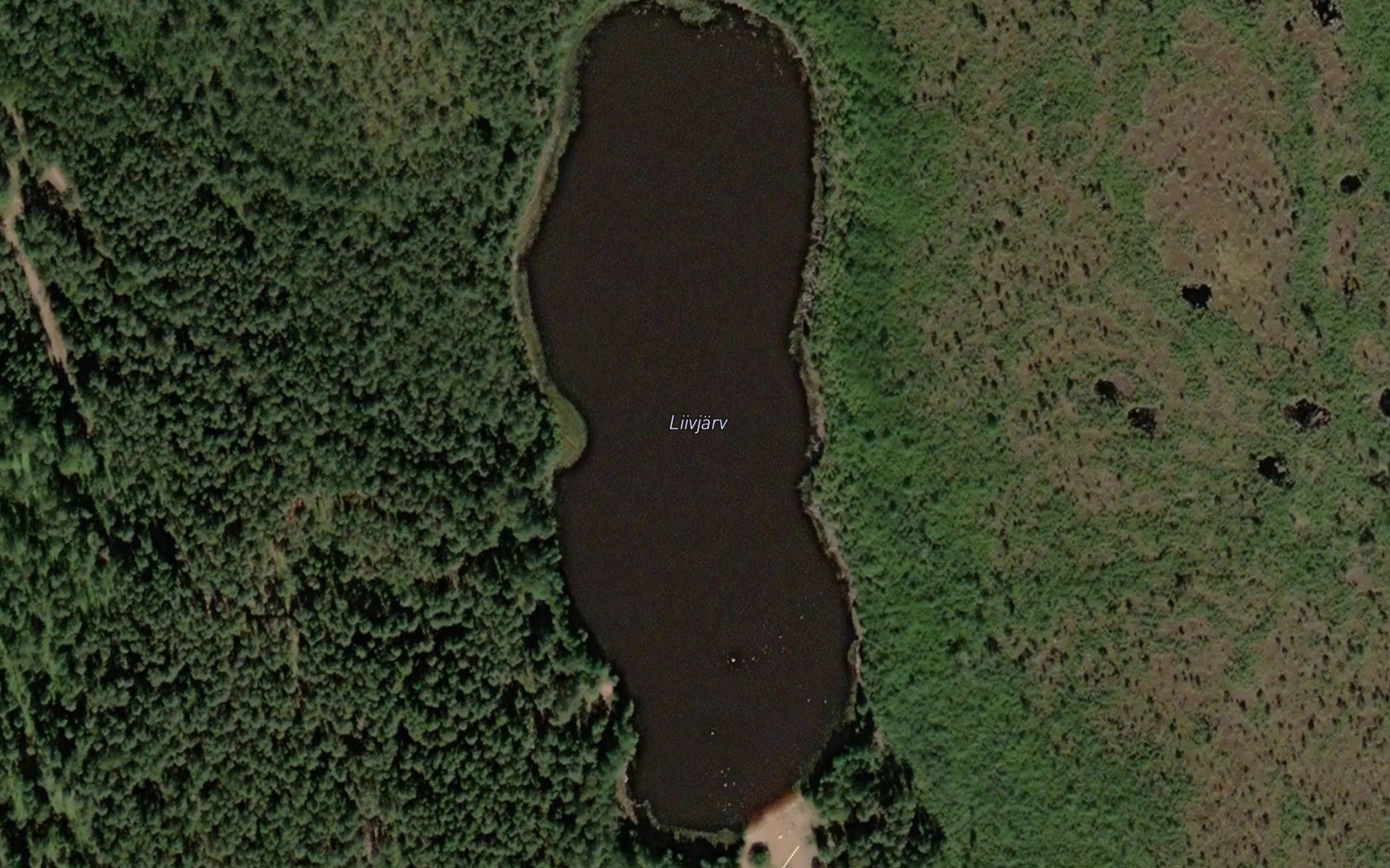 Liivjarv