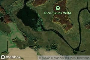 Buckman Creek