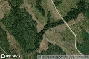 Murtopuro