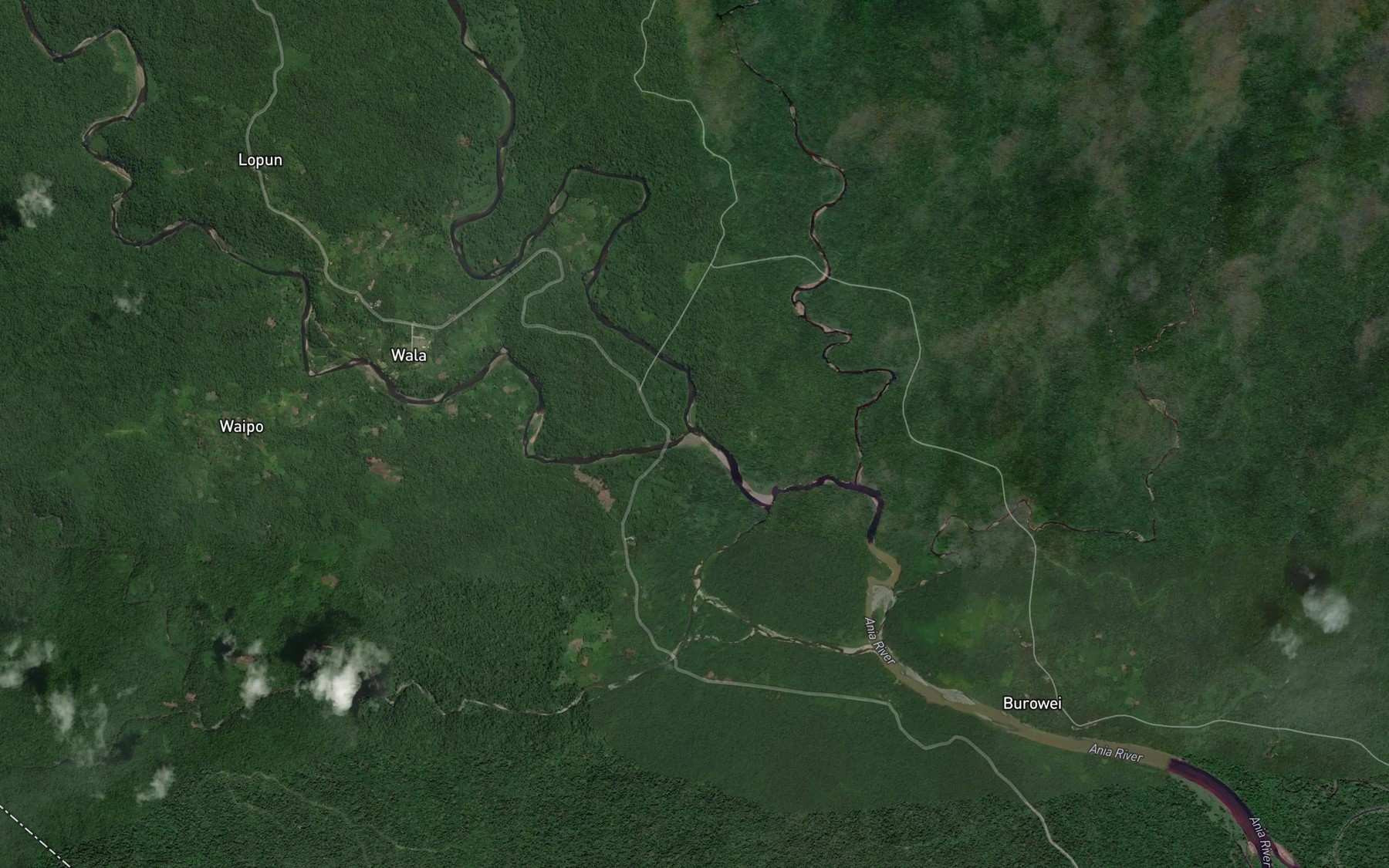 Satellite map of the Ania River