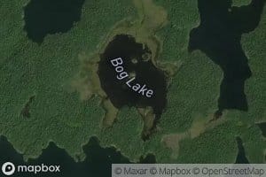Bog Lake