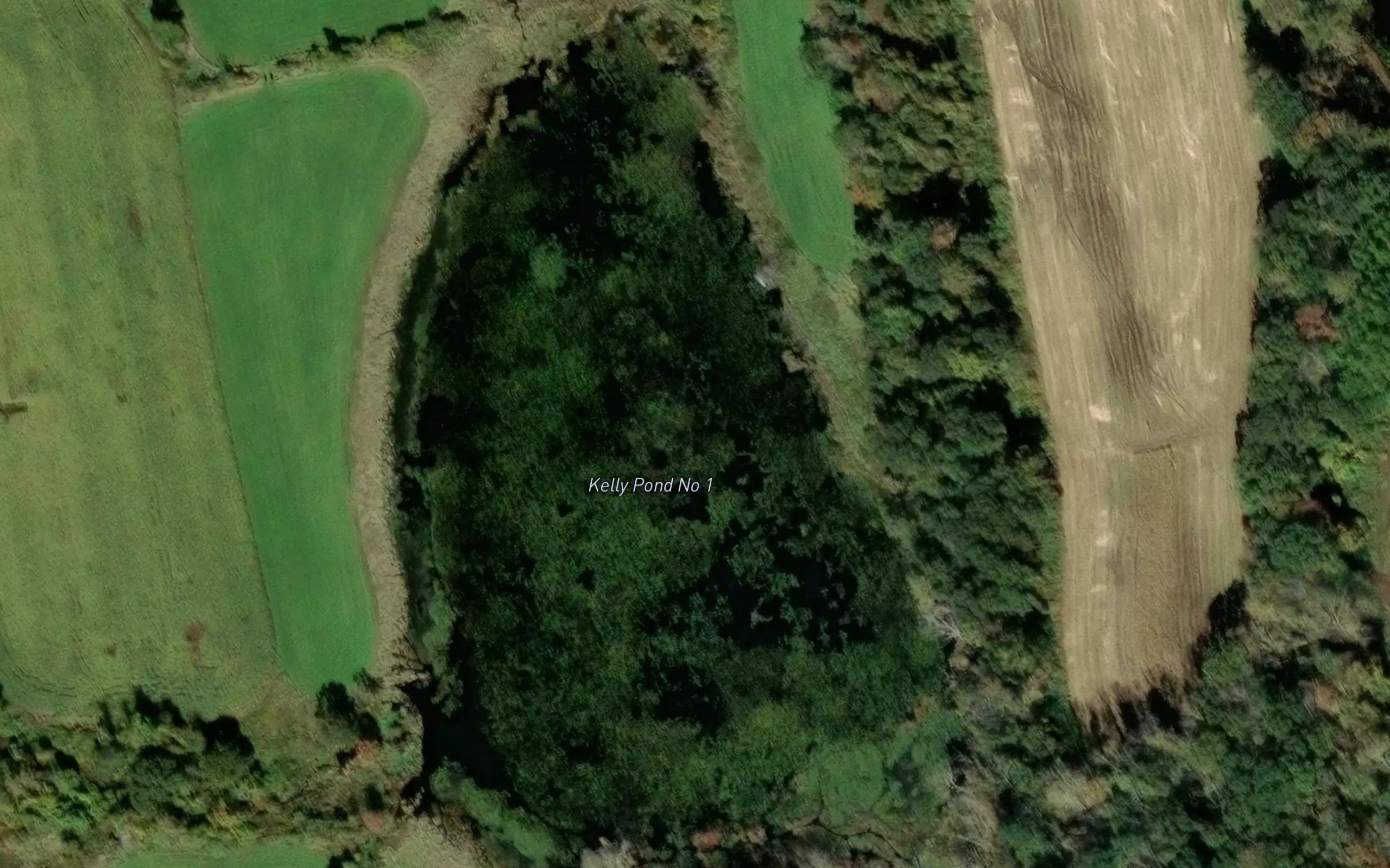 Kelly Ponds