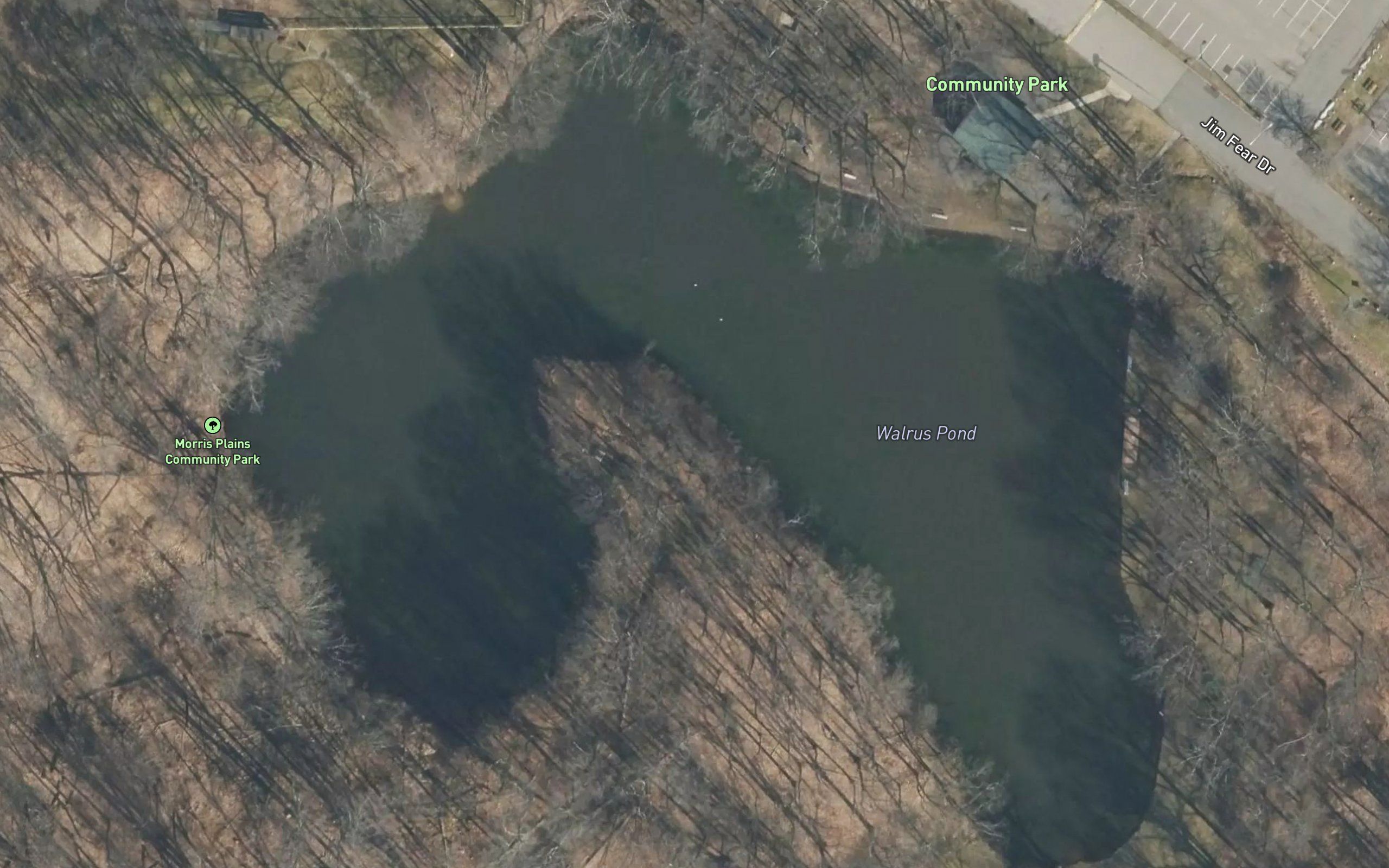 Walrus Pond