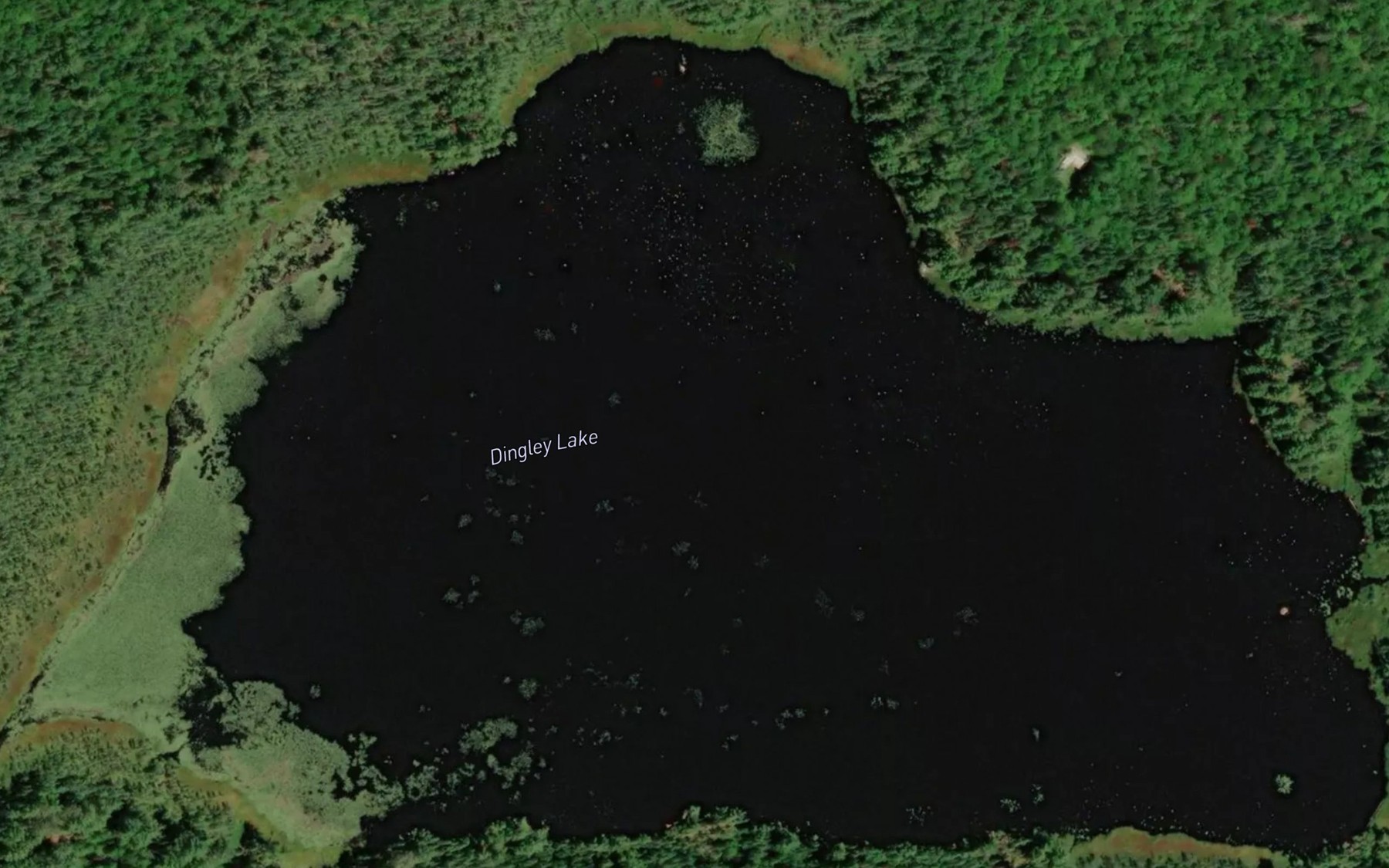 Satellite map of the Dingley Lake