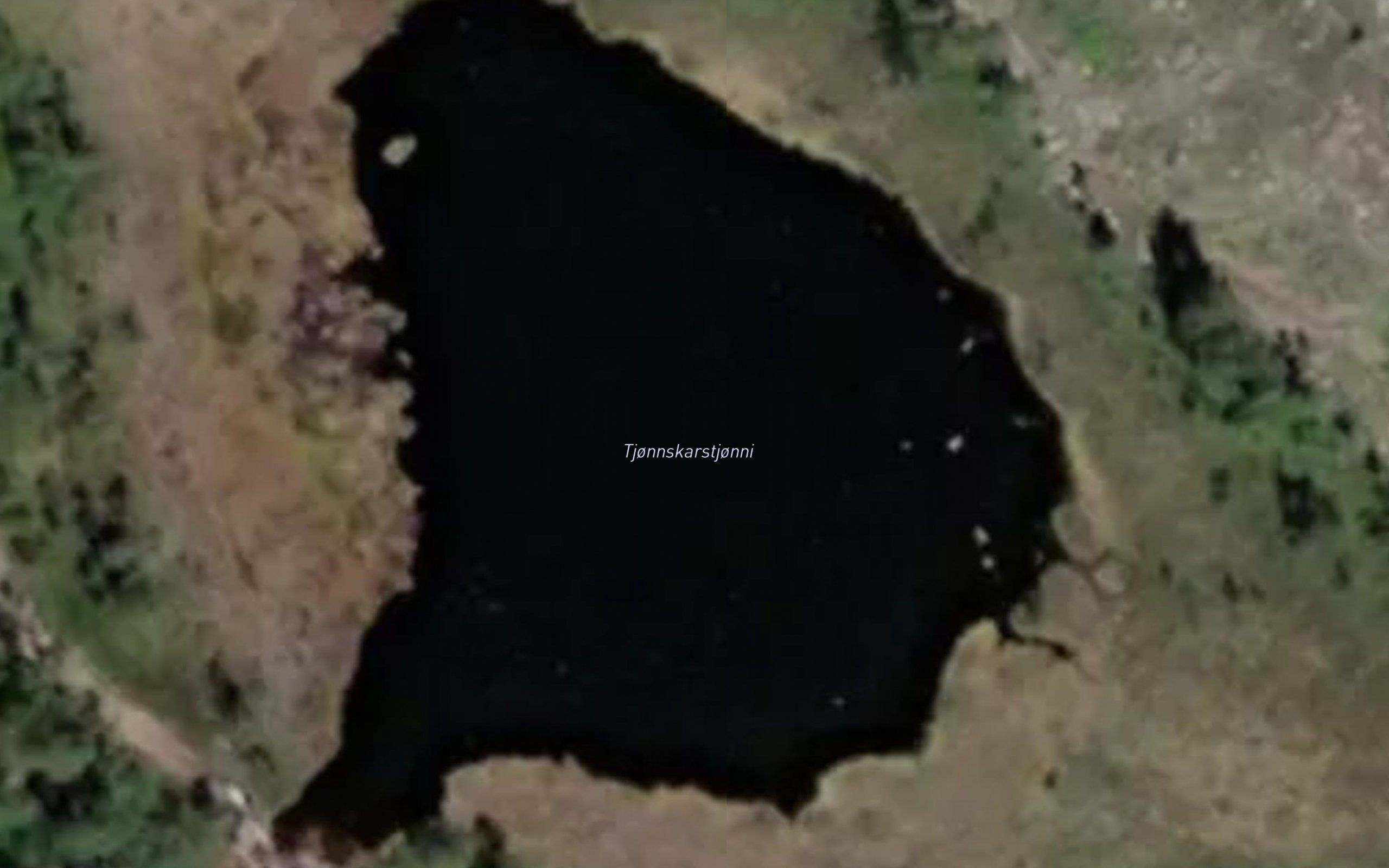 Tjornskardtjorni