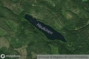 Haukinen