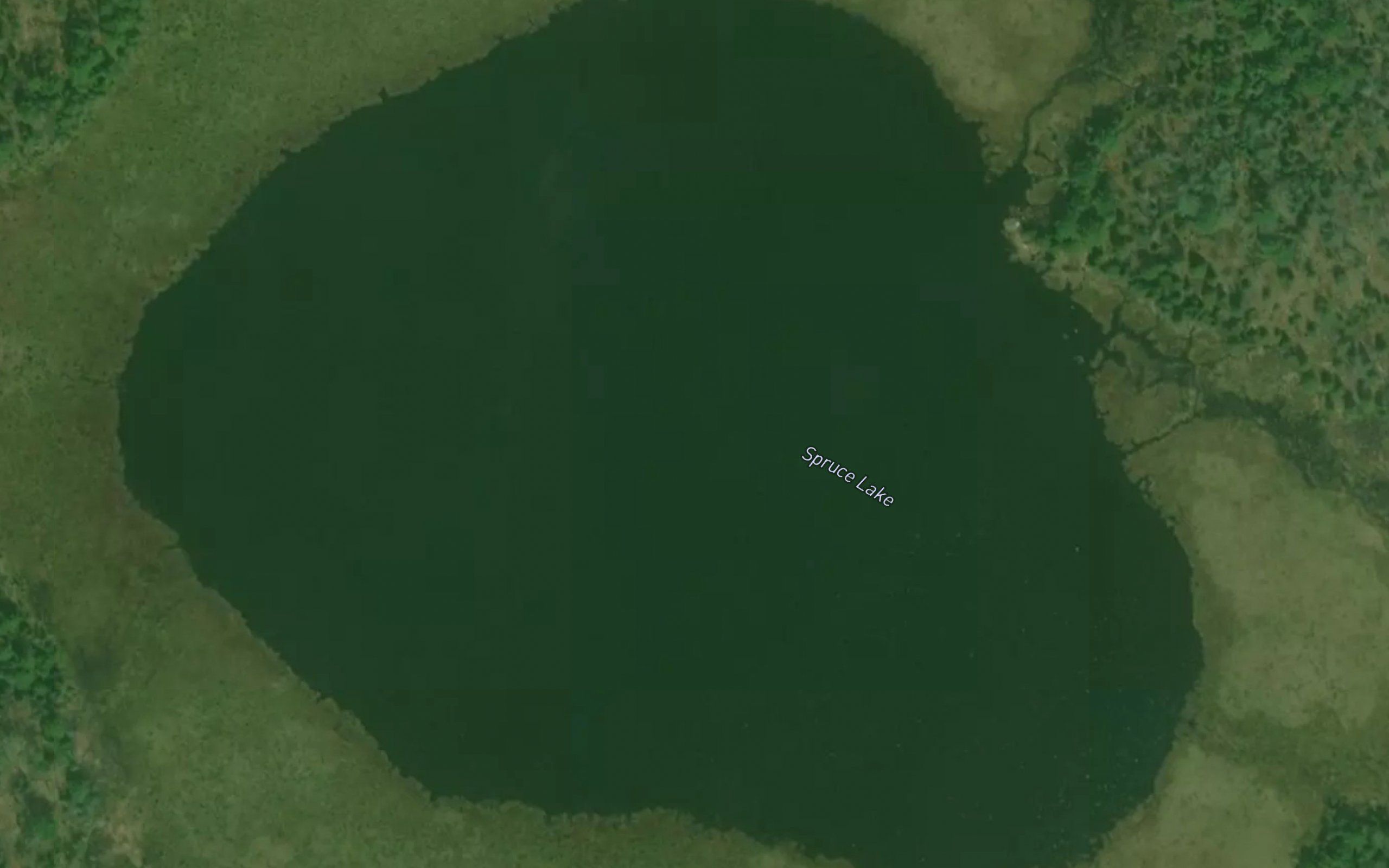 Spruce Lake