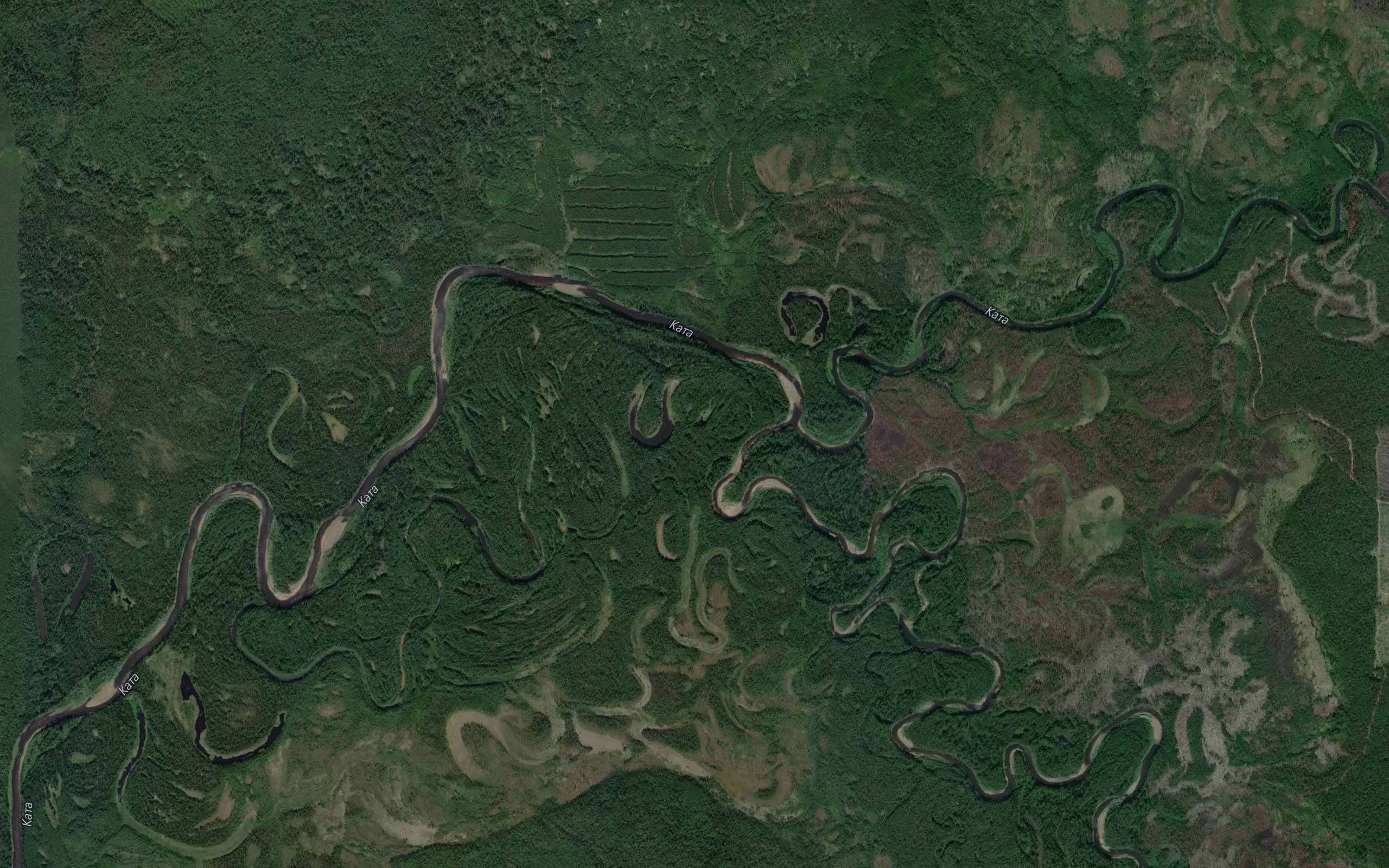 Kapayeva