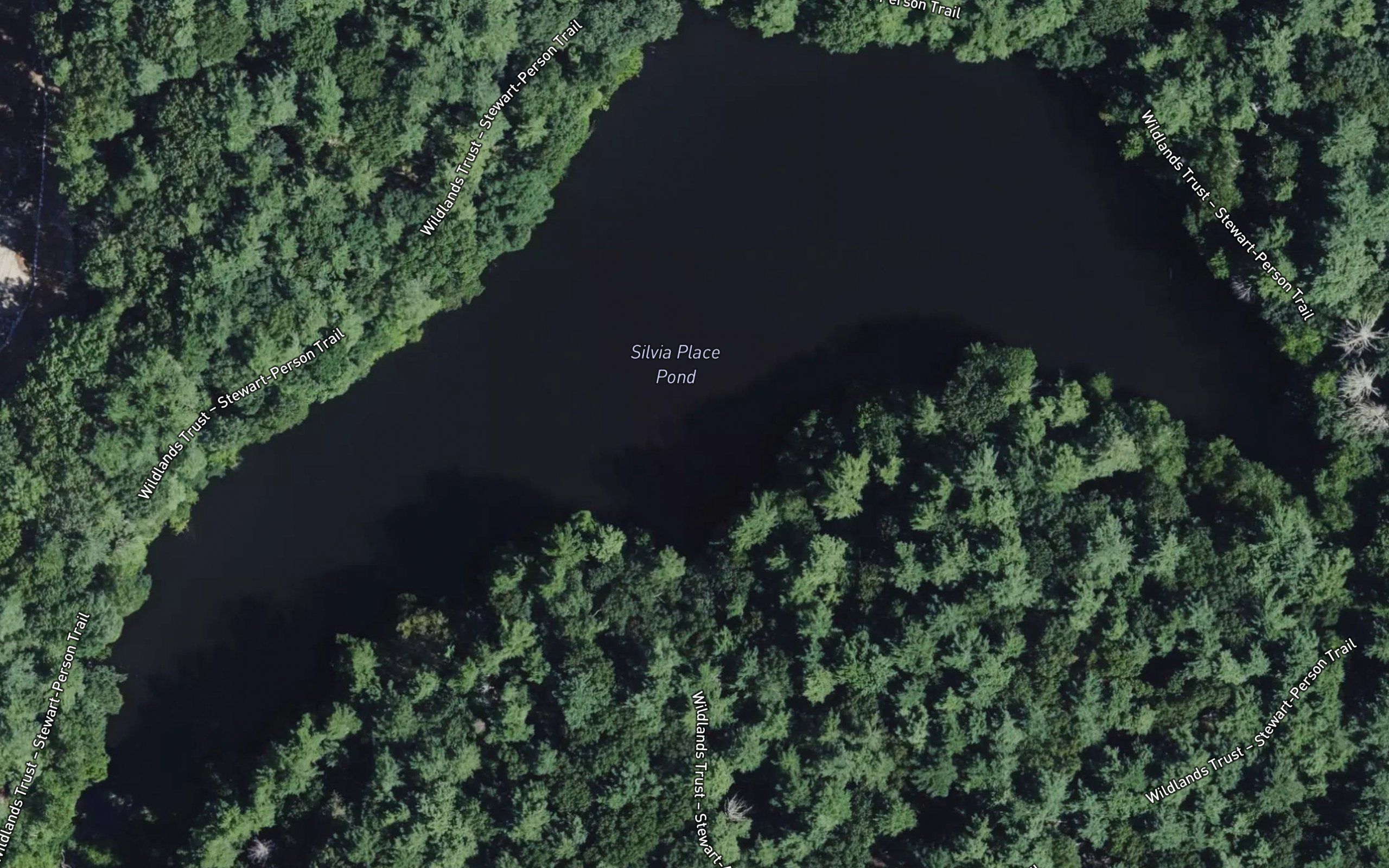 Sylvia's Pond