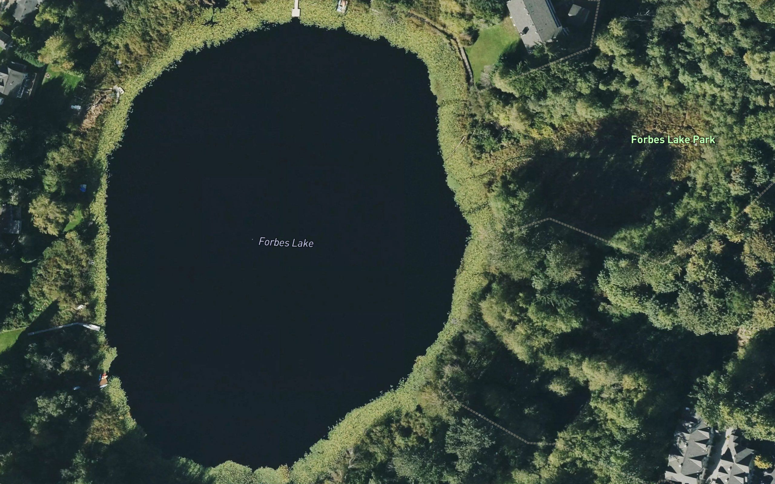 Forbes Lake