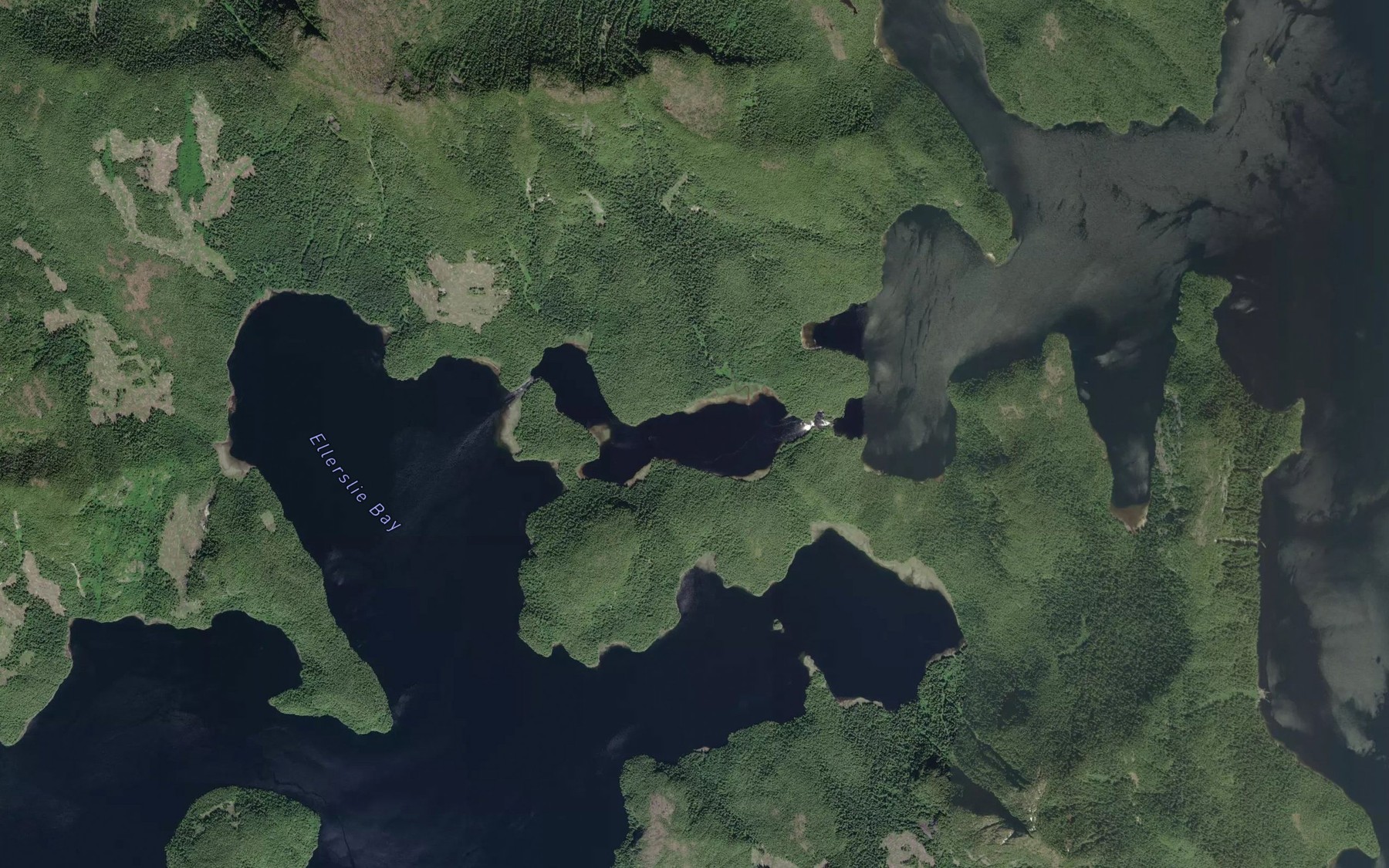Satellite map of the Ellerslie Lagoon