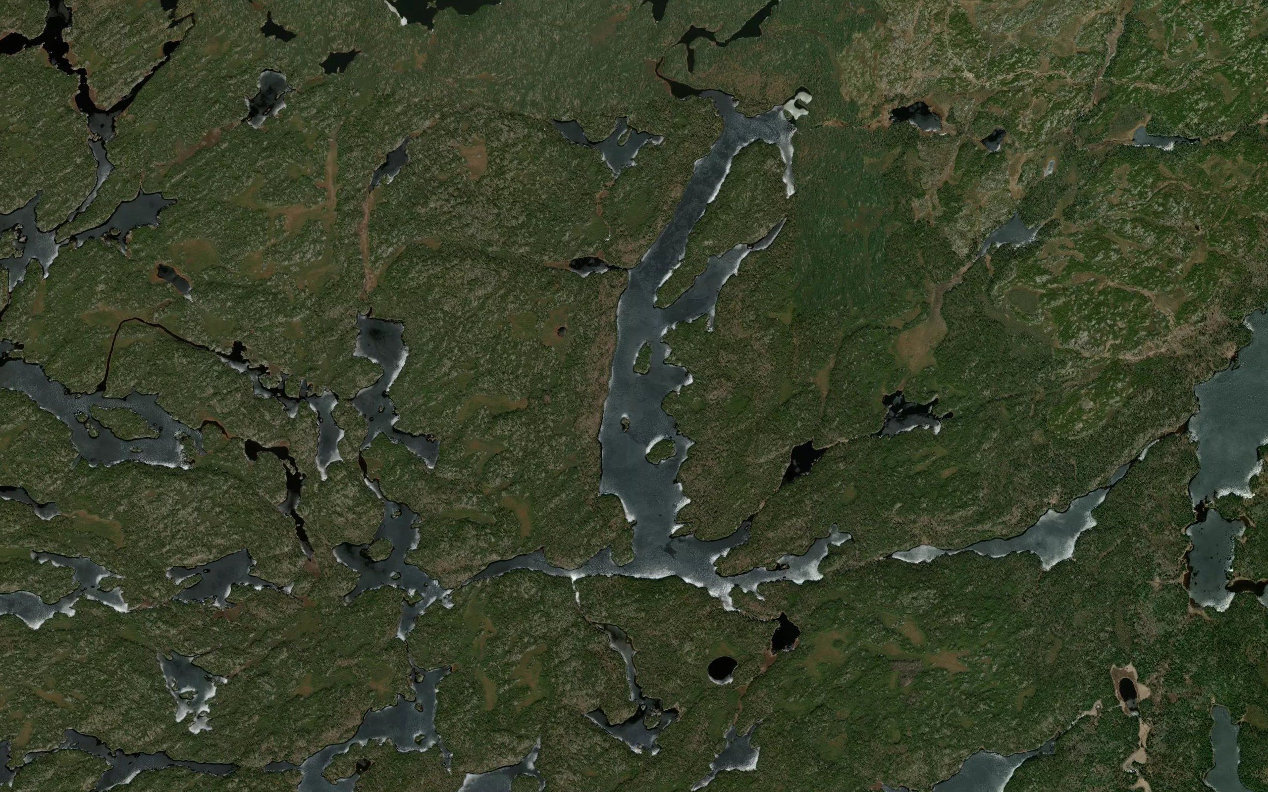 Bunny Lake