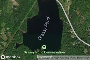 Grassy Pond