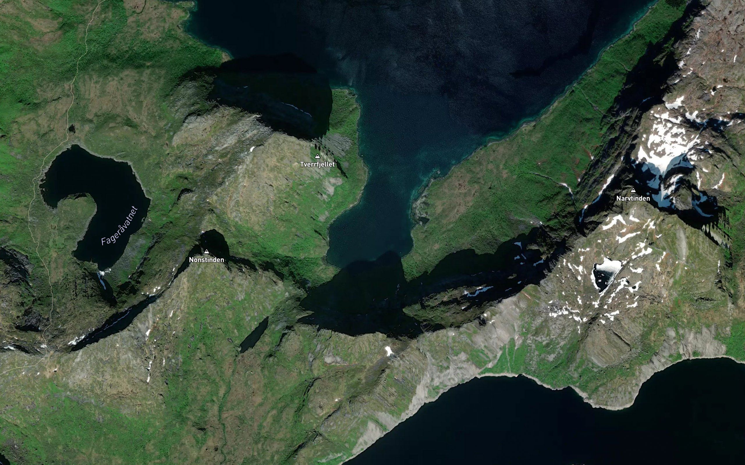 Laukvika