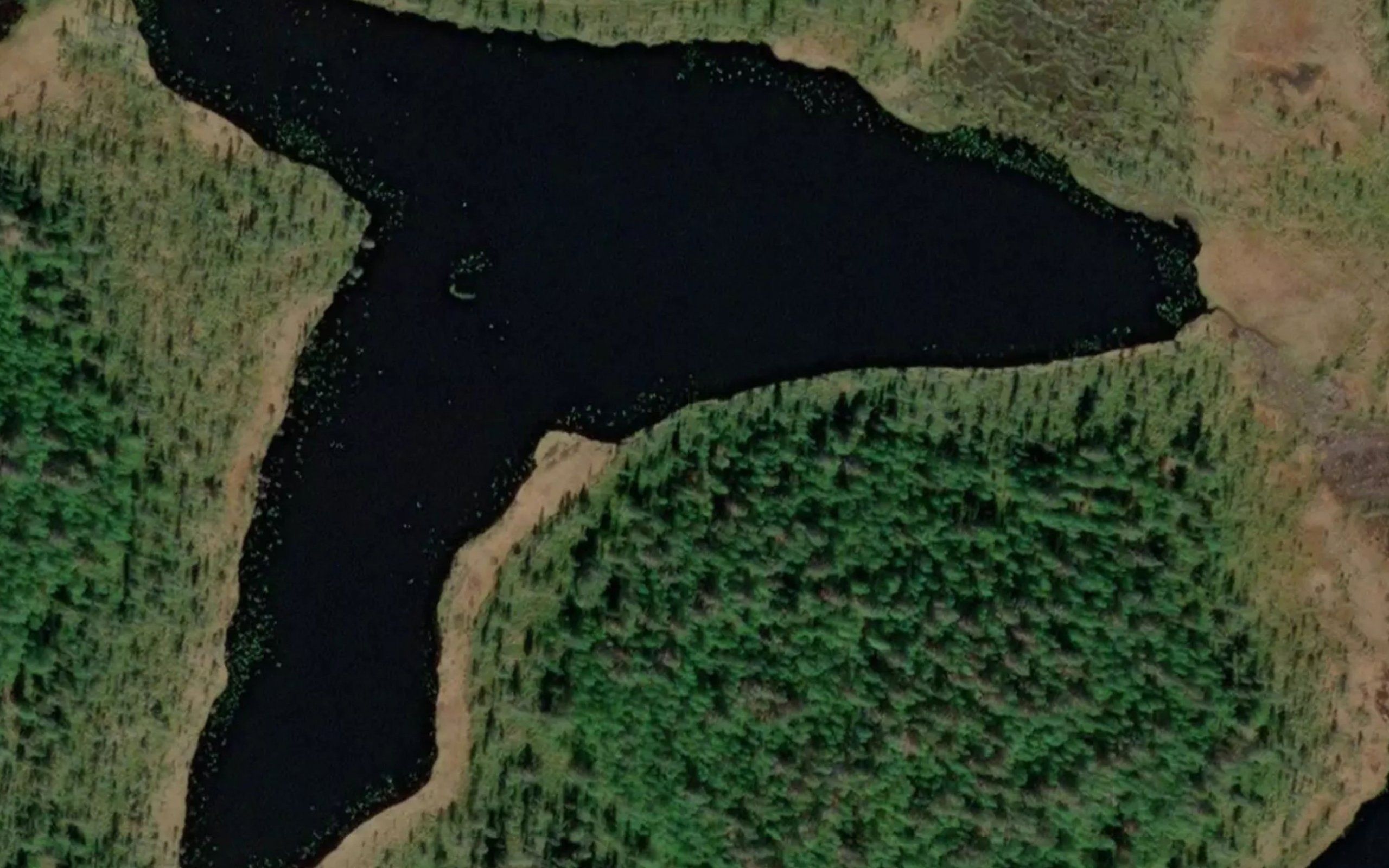 Kolmiloukkosenlampi