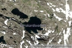 Dyrskartjorn