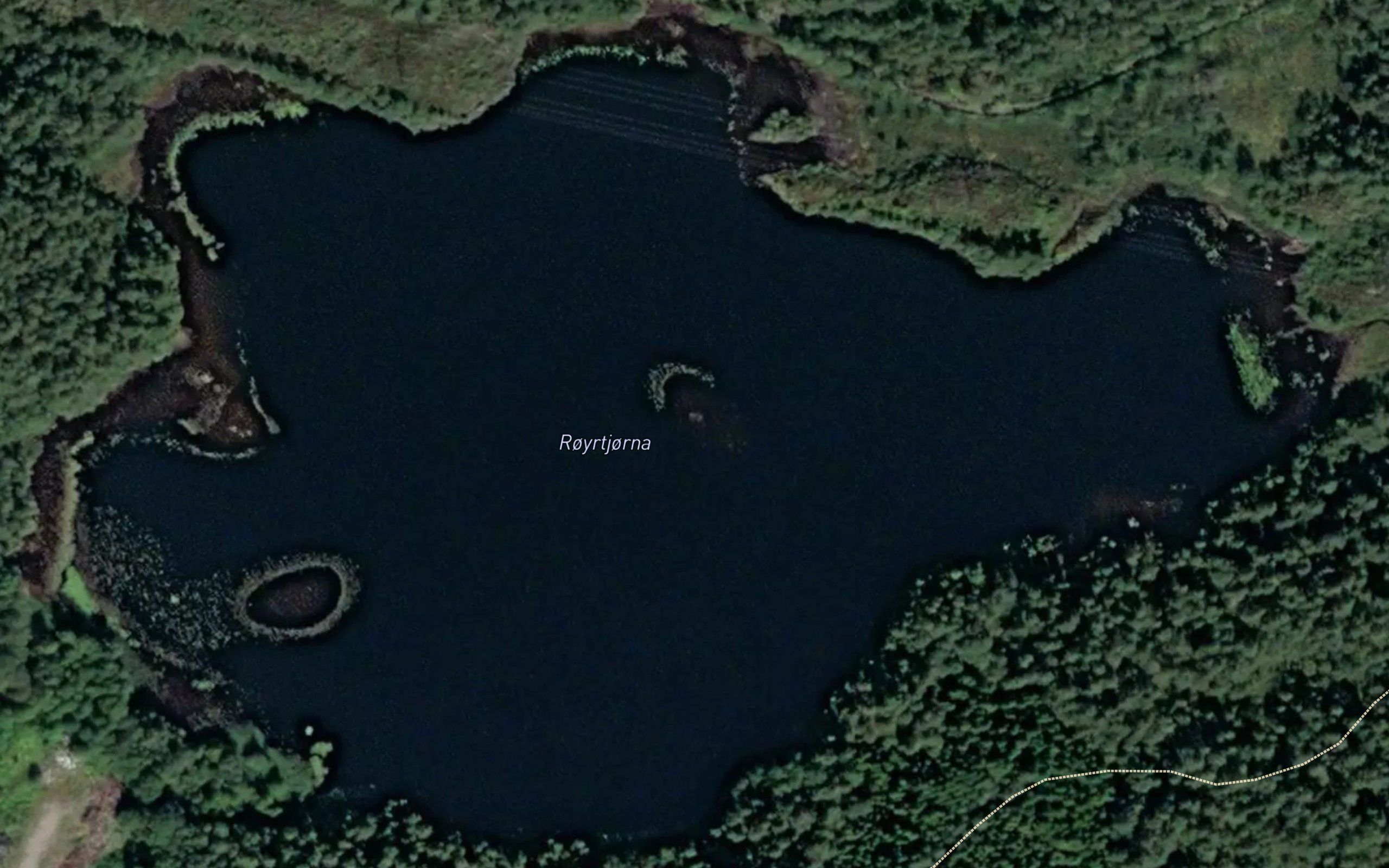 Royrtjorna