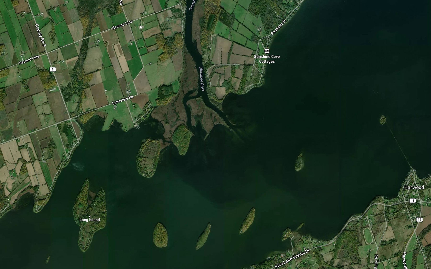 Satellite map of the Otonabee River