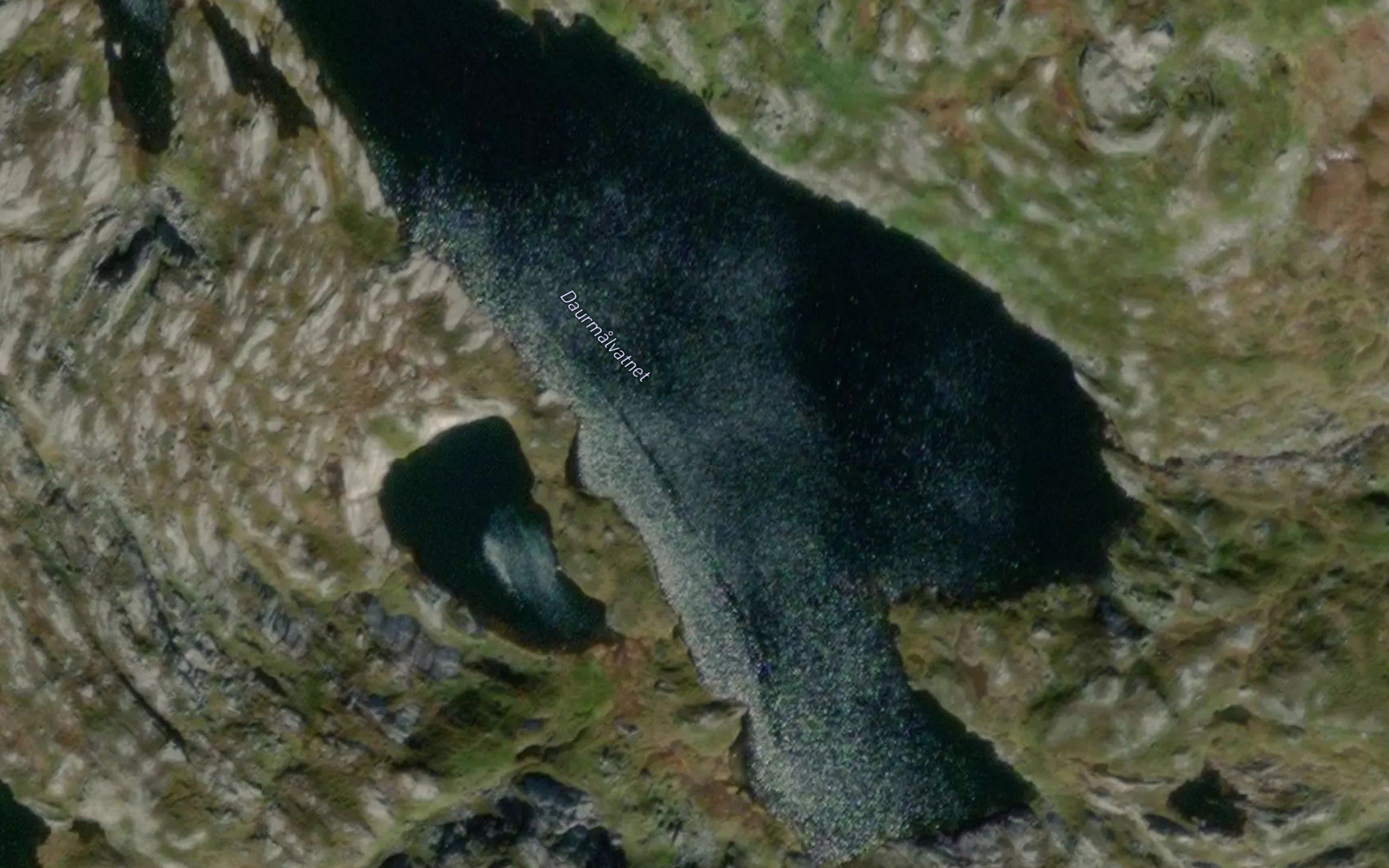 Daurmalvatnet