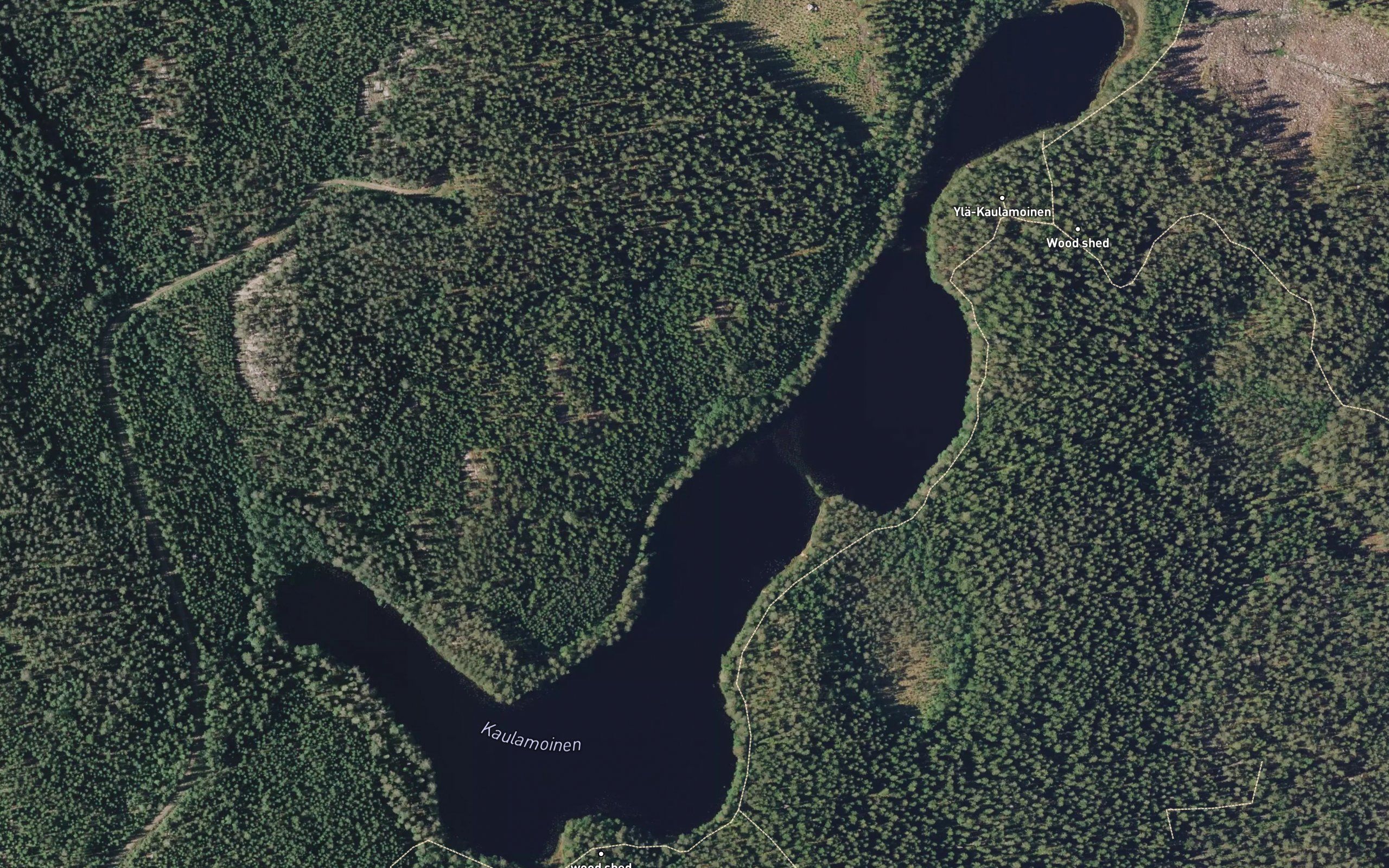 Kaulamoinen