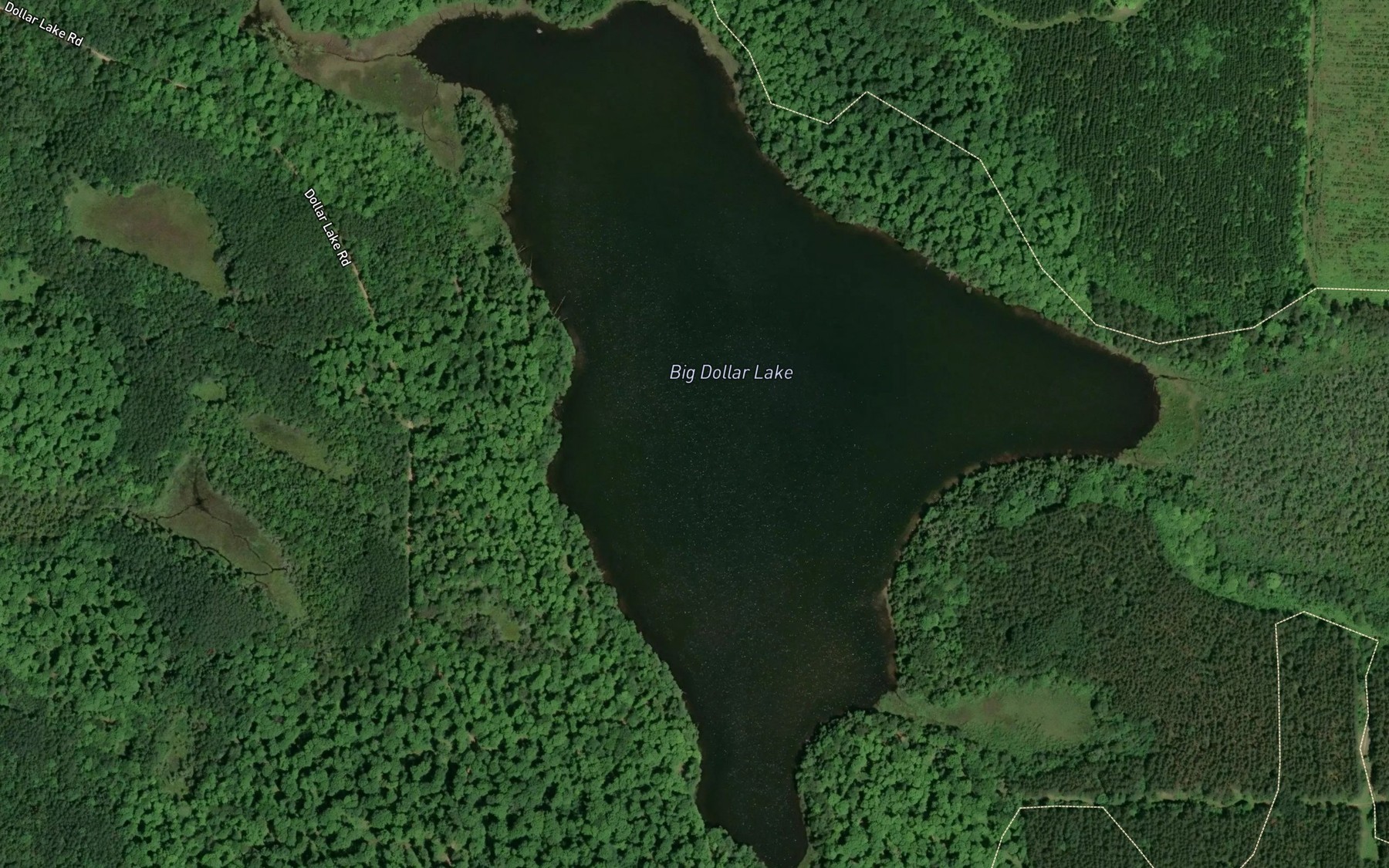 Satellite map of the Big Dollar Lake