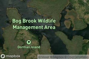 Merrit Brook