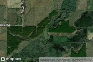 Beaver Pond