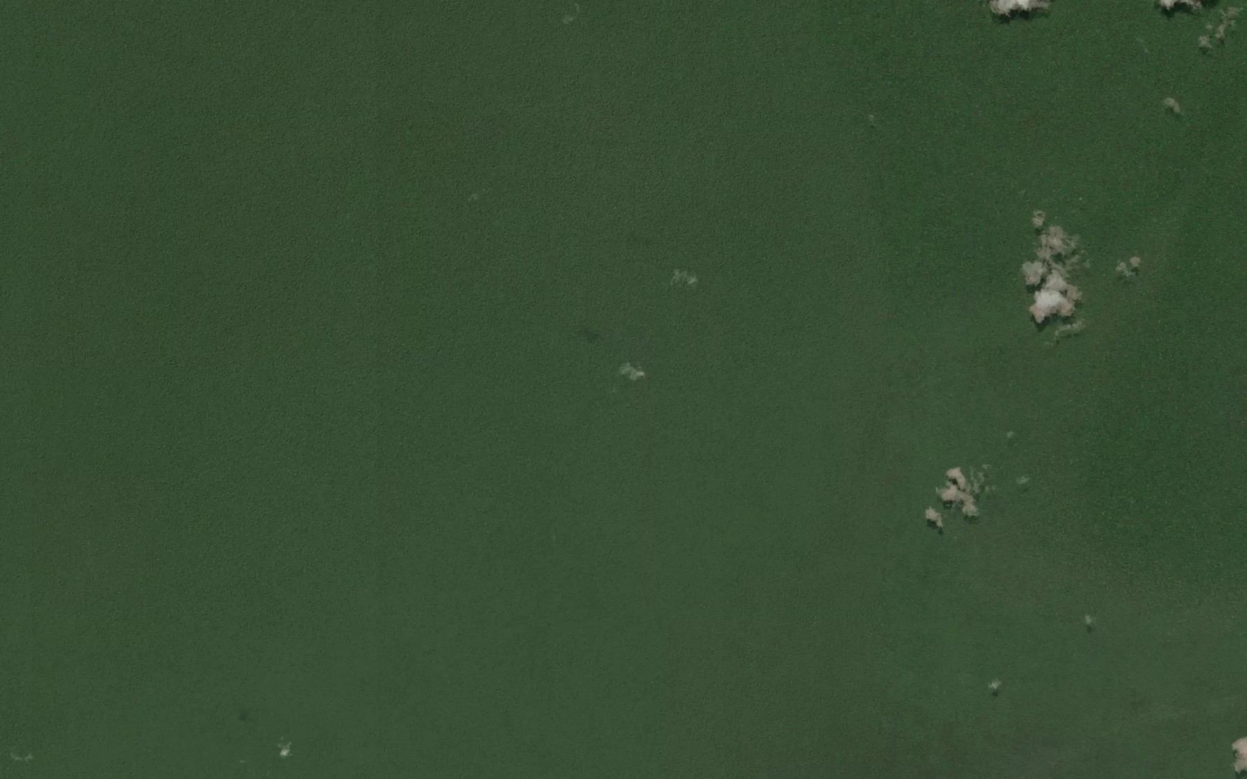 Satellite map of the Likoua Moriba