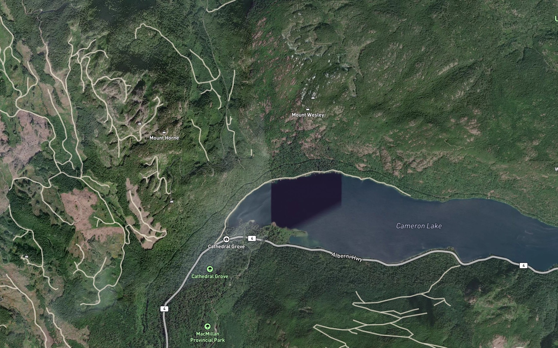 Satellite map of the Cameron River