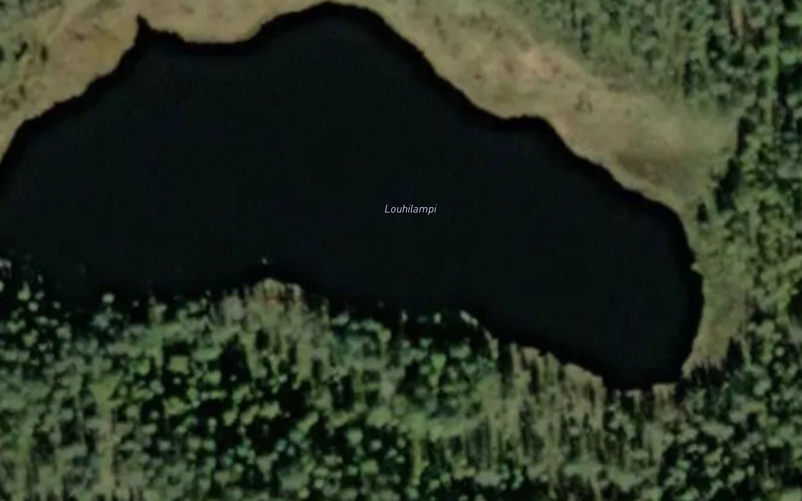 Louhilampi