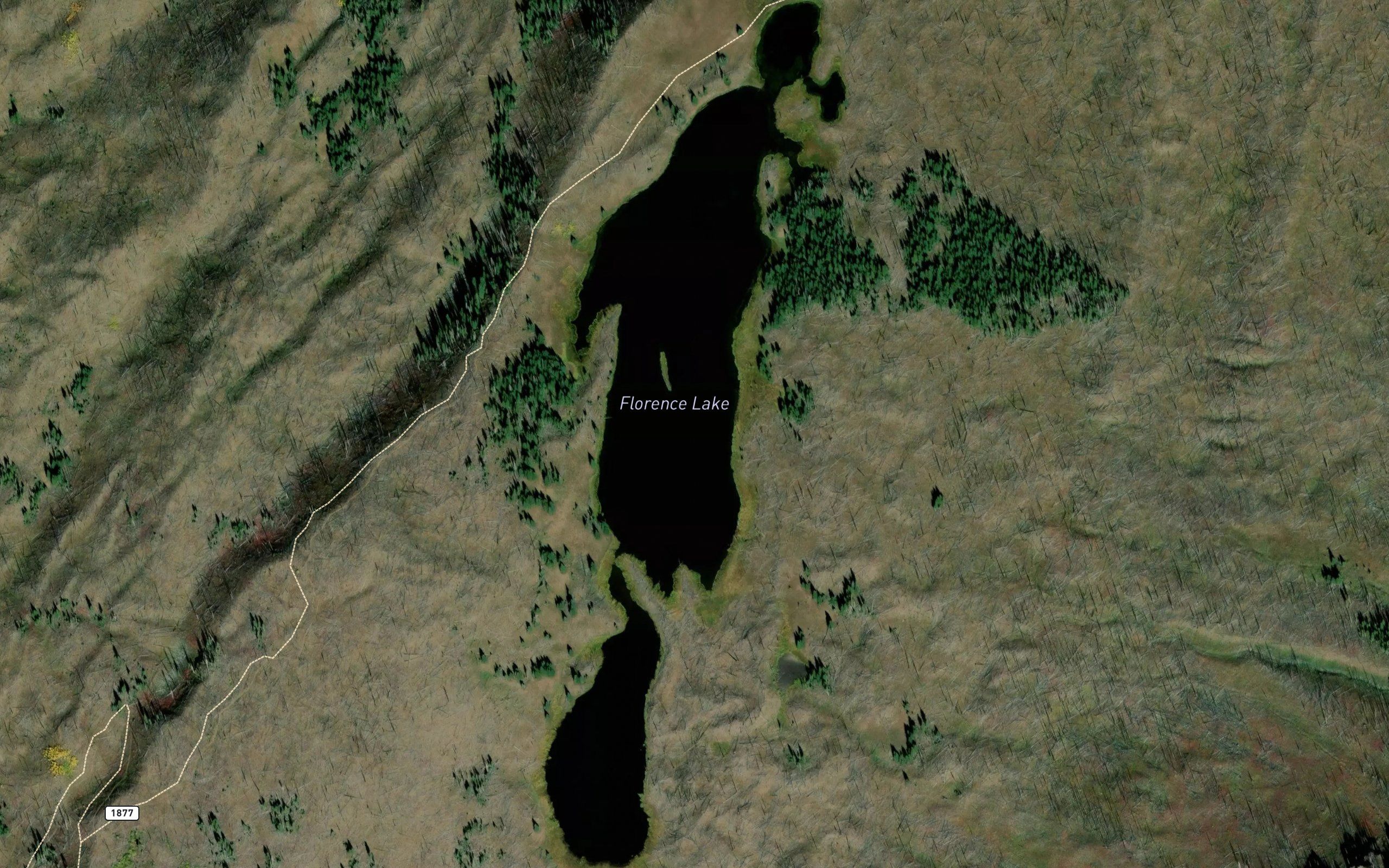 Florence Lake