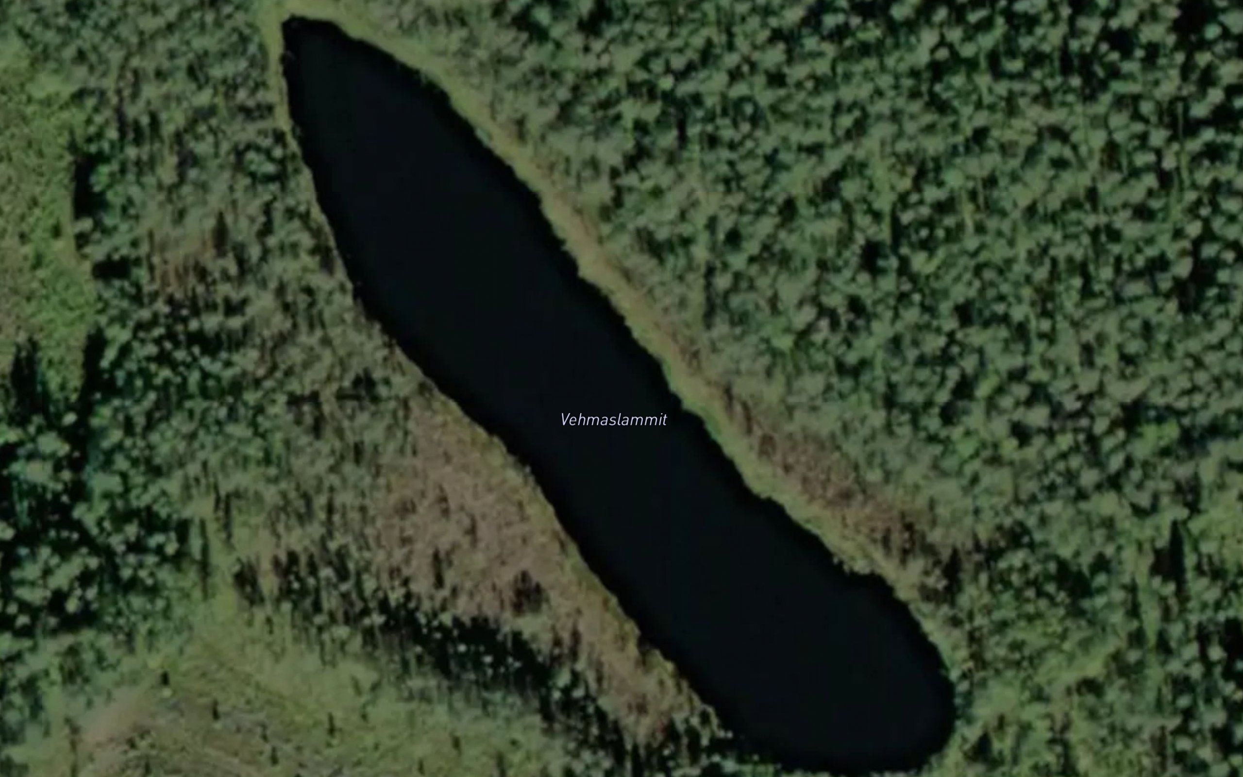 Vehmaslammit