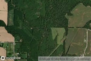 Middle Cypress Creek