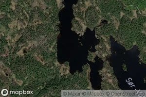 Grastakktjorni