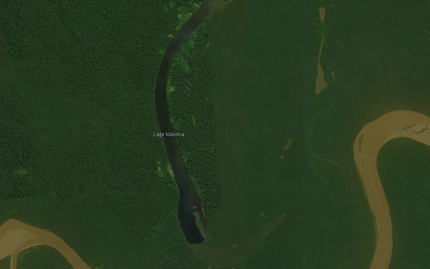 Satellite map of the Lago Valencia