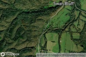 Swan Bluff Spring