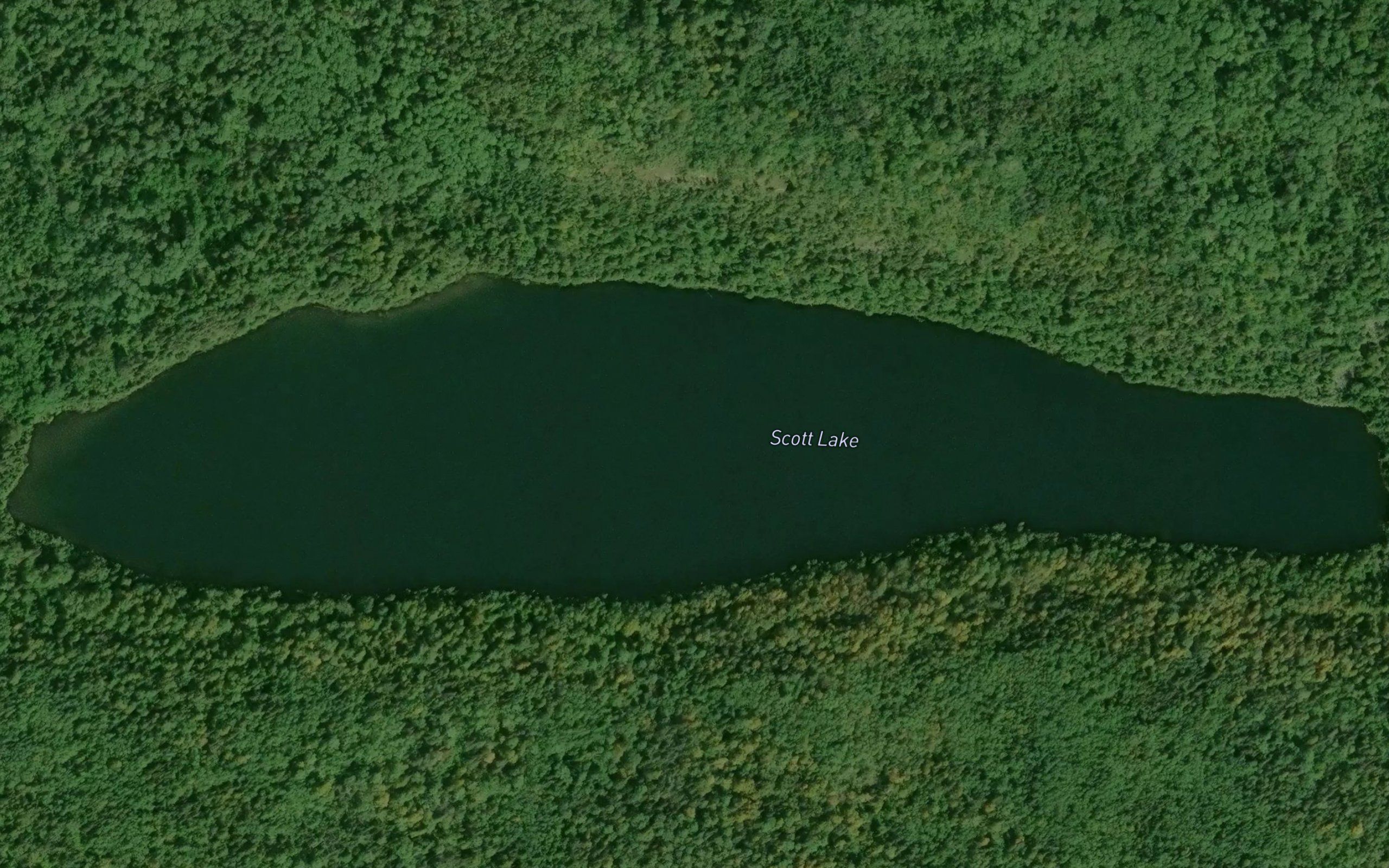 Scott Lake
