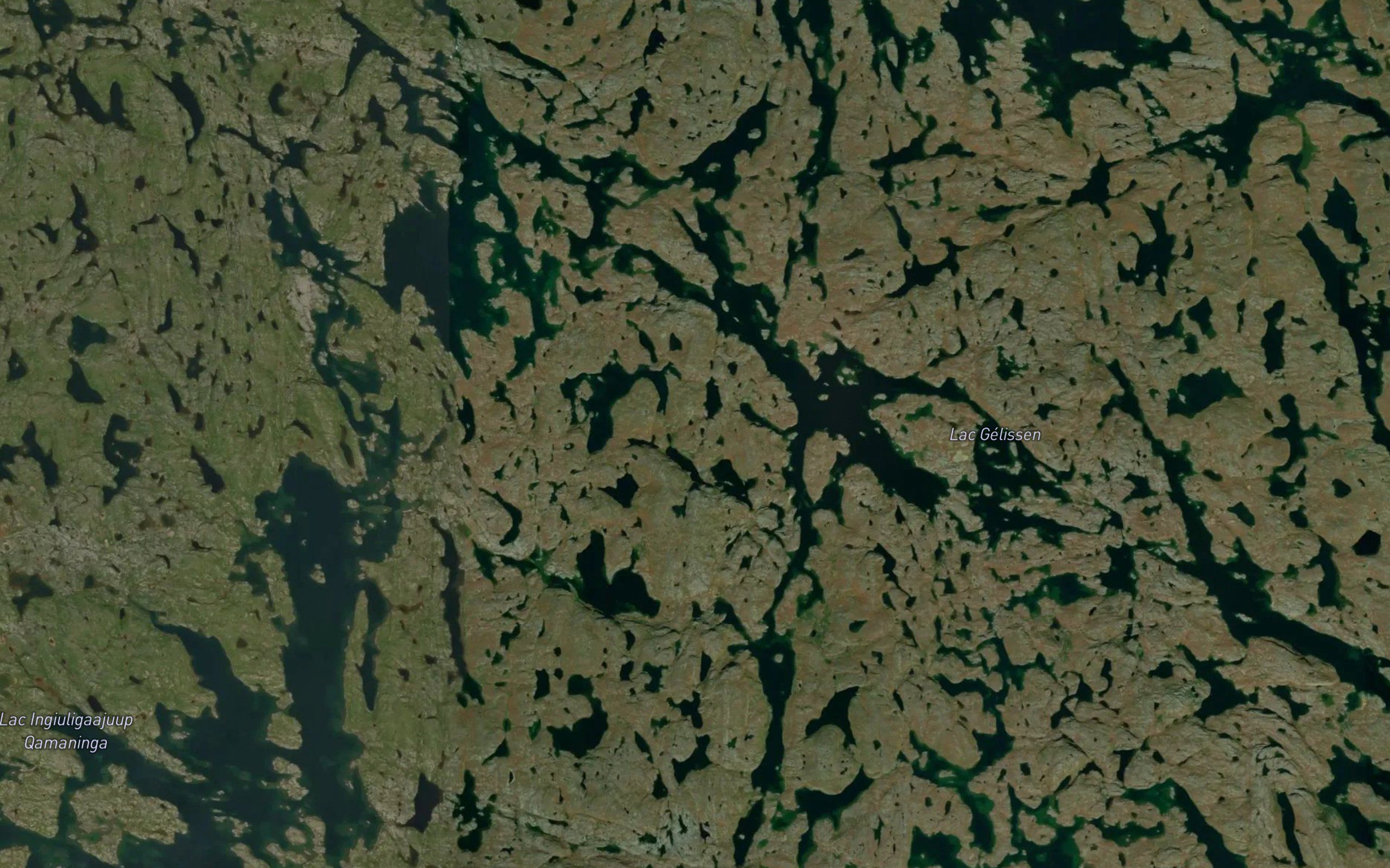 Lac Gelissen